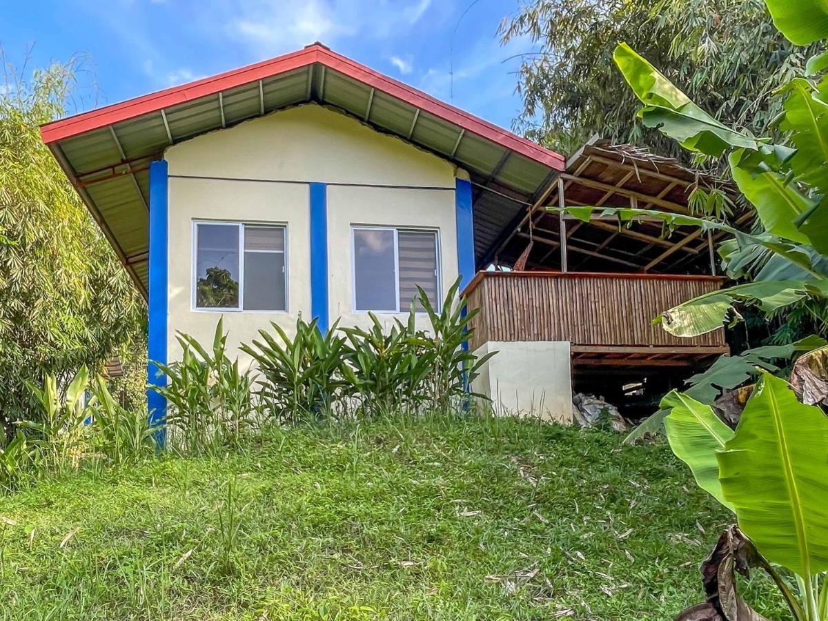 Blue Moon Guesthouse Puerto Princesa Exterior photo