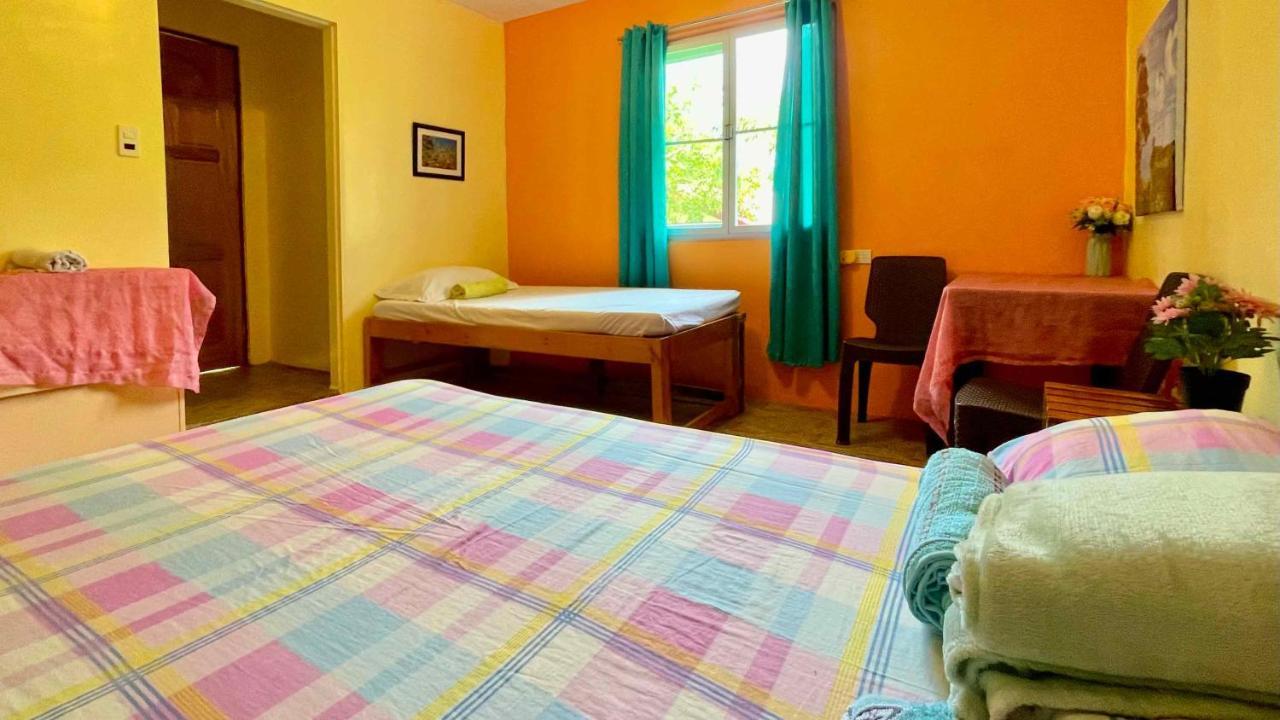 Blue Moon Guesthouse Puerto Princesa Exterior photo