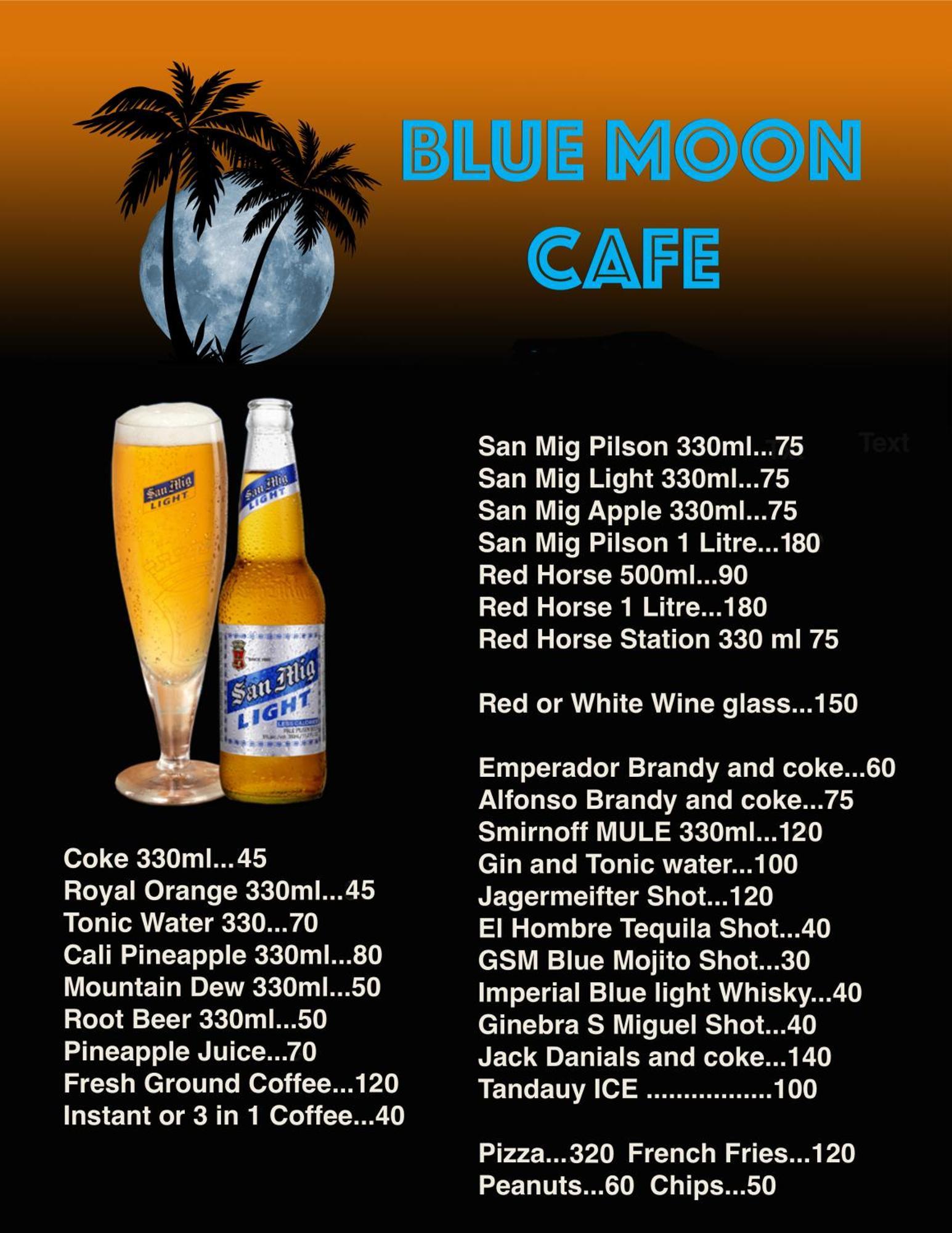Blue Moon Guesthouse Puerto Princesa Exterior photo